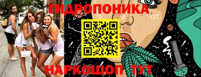 твердый Камышлов