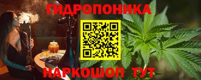твердый Камышлов