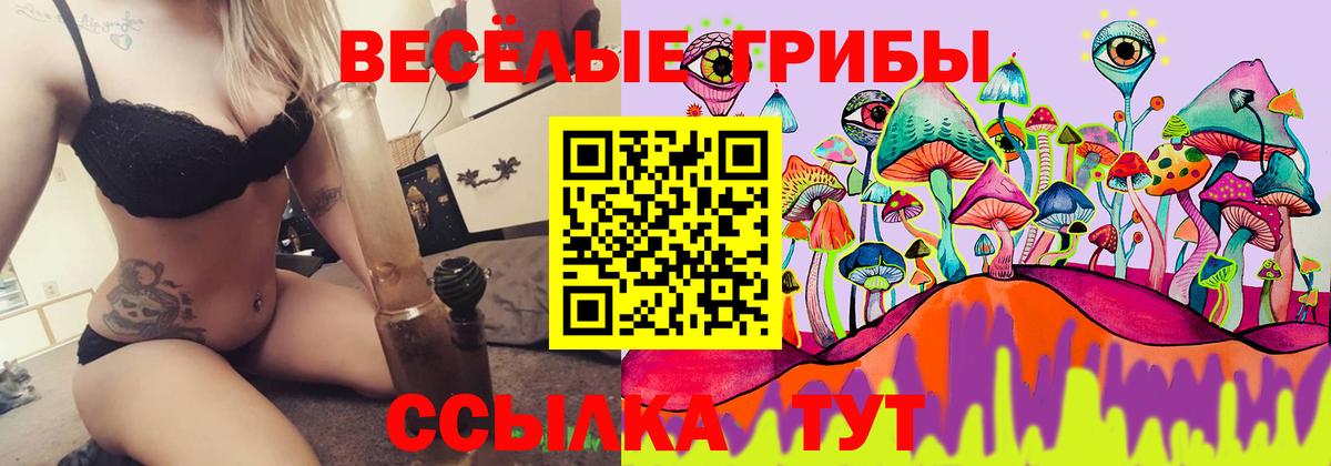 Кстово  Галлюциногенные грибы Magic Shrooms  Вход с VPN 