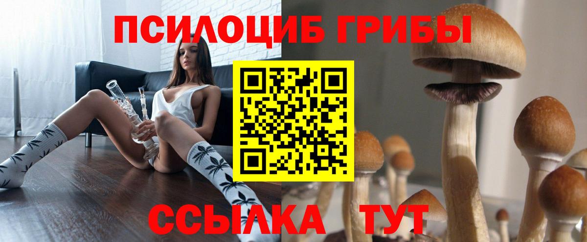 Галлюциногенные грибы GOLDEN TEACHER Кстово